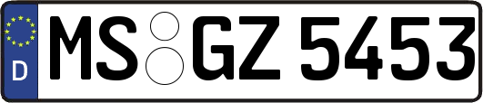 MS-GZ5453