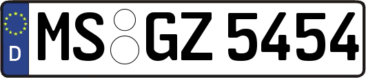 MS-GZ5454