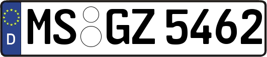 MS-GZ5462