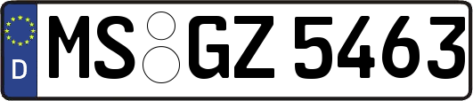 MS-GZ5463