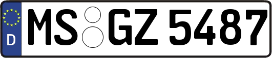 MS-GZ5487