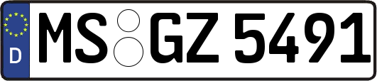 MS-GZ5491
