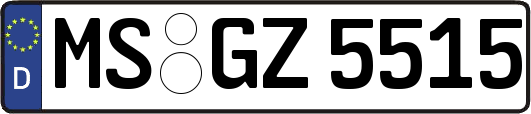 MS-GZ5515