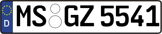 MS-GZ5541
