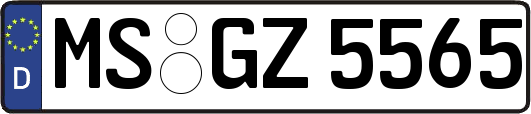 MS-GZ5565