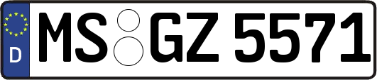 MS-GZ5571