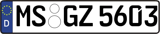 MS-GZ5603