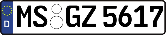 MS-GZ5617