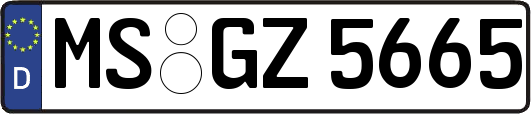 MS-GZ5665