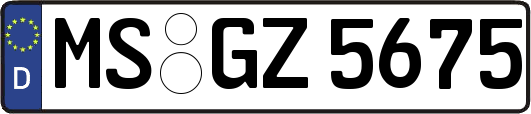 MS-GZ5675