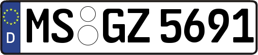 MS-GZ5691