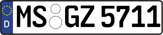 MS-GZ5711
