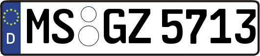 MS-GZ5713