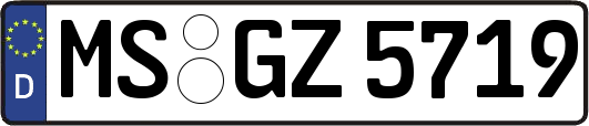 MS-GZ5719