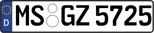 MS-GZ5725
