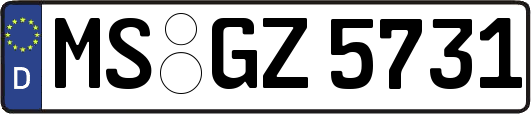 MS-GZ5731