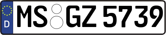 MS-GZ5739