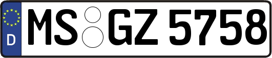 MS-GZ5758