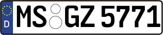 MS-GZ5771