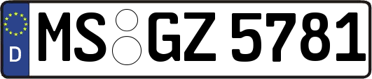 MS-GZ5781