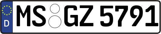 MS-GZ5791