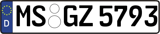 MS-GZ5793