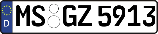 MS-GZ5913