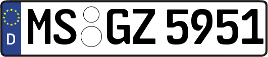 MS-GZ5951
