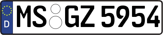 MS-GZ5954