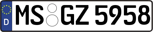 MS-GZ5958