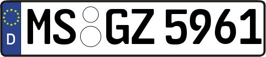 MS-GZ5961