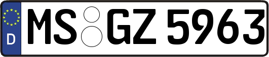 MS-GZ5963