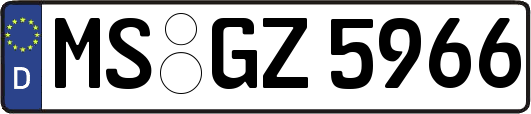 MS-GZ5966
