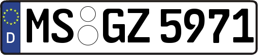 MS-GZ5971