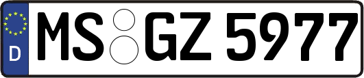 MS-GZ5977
