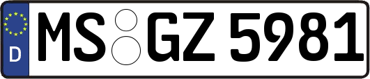 MS-GZ5981