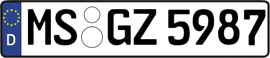 MS-GZ5987