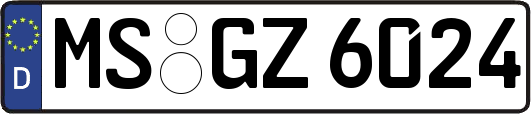 MS-GZ6024