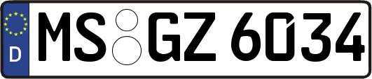 MS-GZ6034