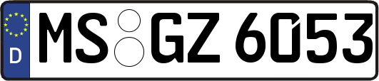 MS-GZ6053