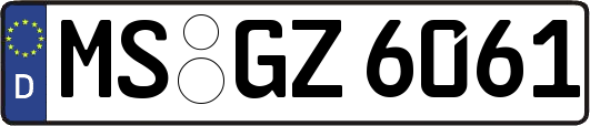 MS-GZ6061