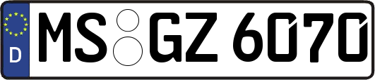 MS-GZ6070