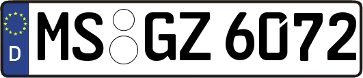 MS-GZ6072
