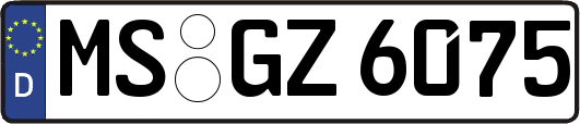 MS-GZ6075