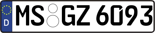 MS-GZ6093