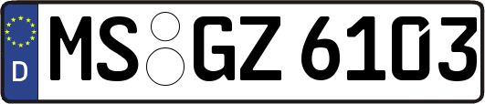 MS-GZ6103