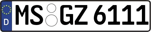 MS-GZ6111