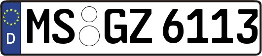 MS-GZ6113