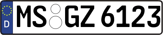 MS-GZ6123