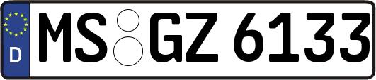 MS-GZ6133